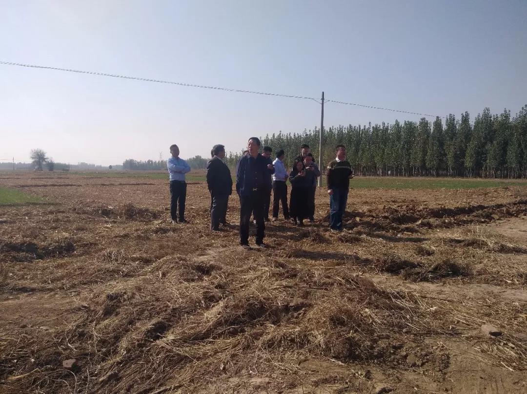 出发前往衡水市阜城县考察土地情况,阜城德隆集团王荣章董事长亲临