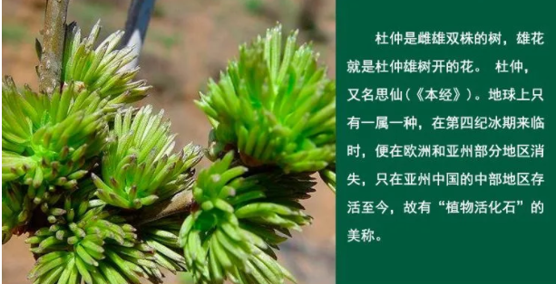 截屏2020-06-03 下午4.42.26.png